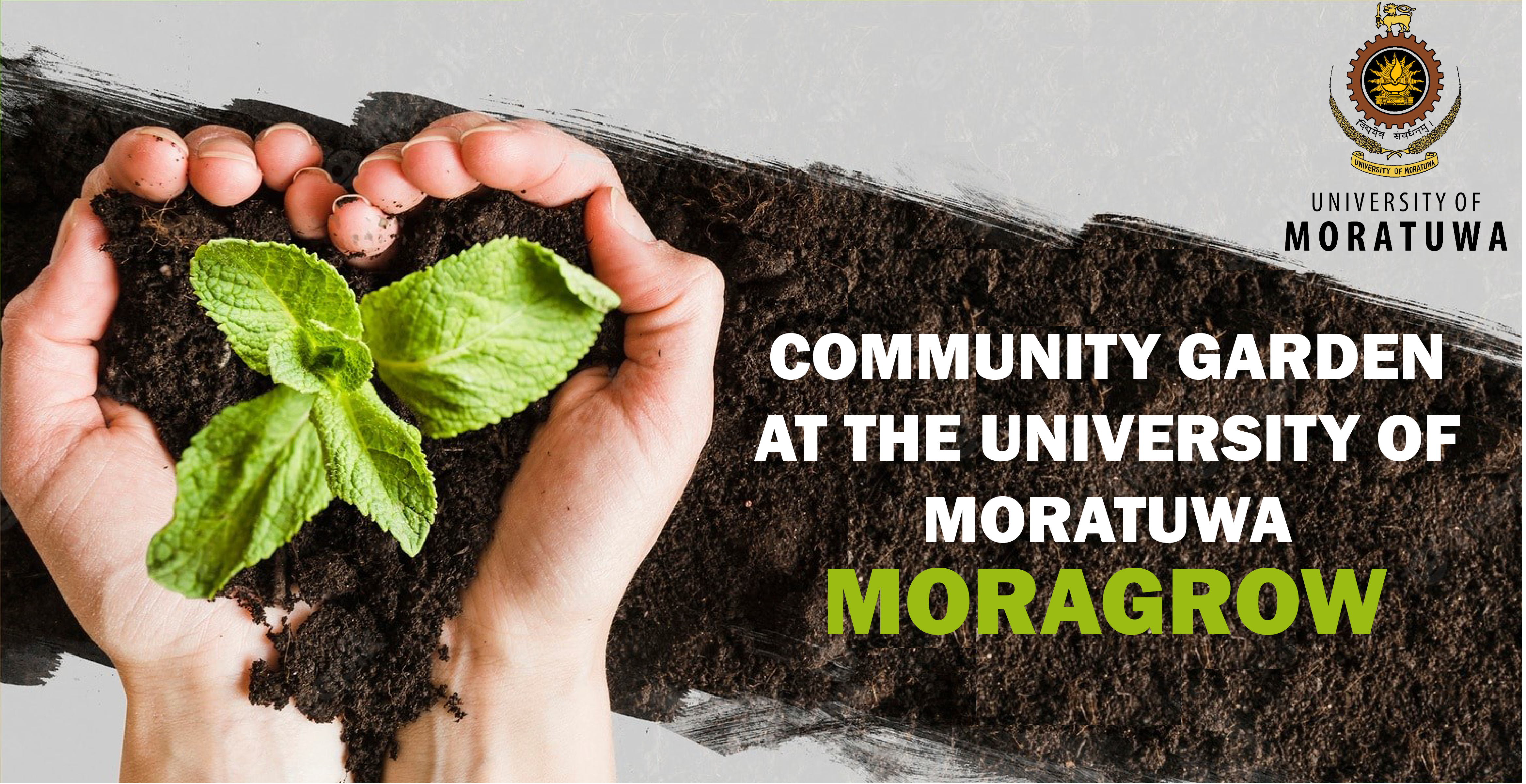 COMMUNITY GARDEN AT THE UNIVERSITY OF MORATUWA: MORAGROW