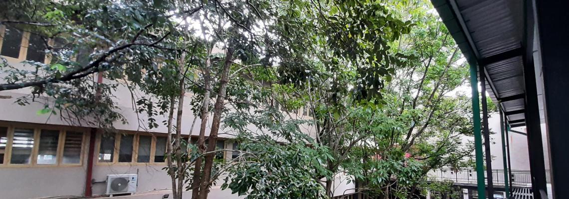 DEPARTMENT OF MATH